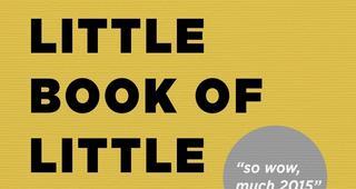 HTML and CSS Frameworks, Coding Guidelines, Quality Control: The Little Book of Little Books Cover